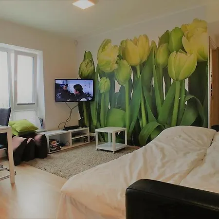 Scandian - Park Apartament *